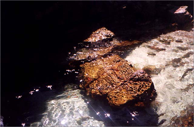 Coral rocks found around the island
