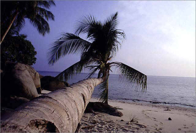 Pemanggil island's beach