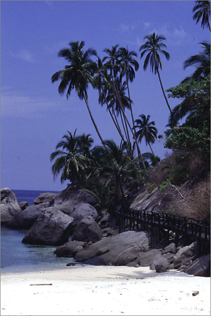 Pemanggil island's beach